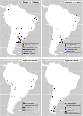 Assessing the Causes Behind the Late Quaternary Extinction of Horses in South America Using Species Distribution Models